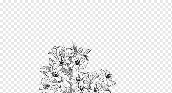 Черный контур цветов