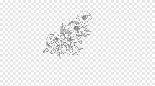 Цветы эскиз без фона