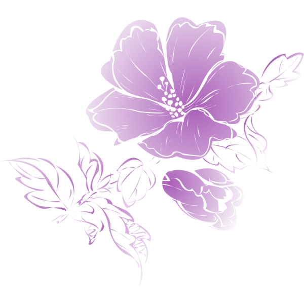 Фиолетовые цветочки на белом фоне