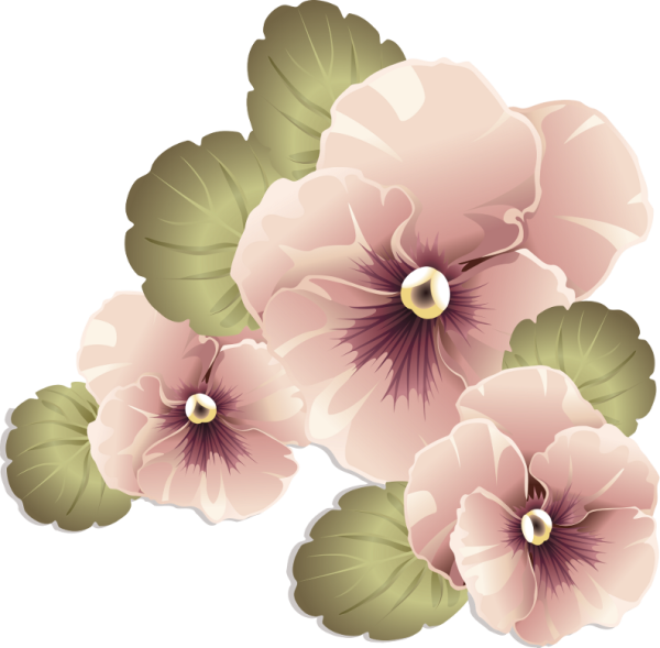 Коричневые цветы на прозрачном фоне