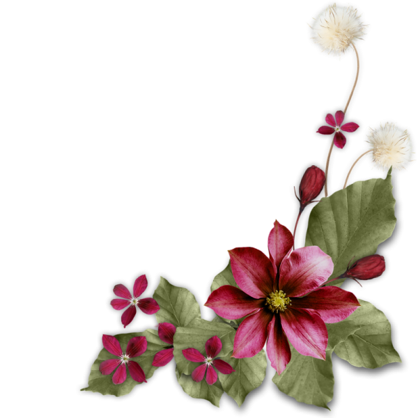 Цветы угловые