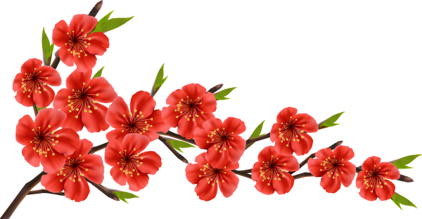 Цветы на прозрачном фоне