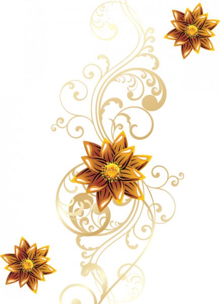 Узоры цветы на прозрачном фоне