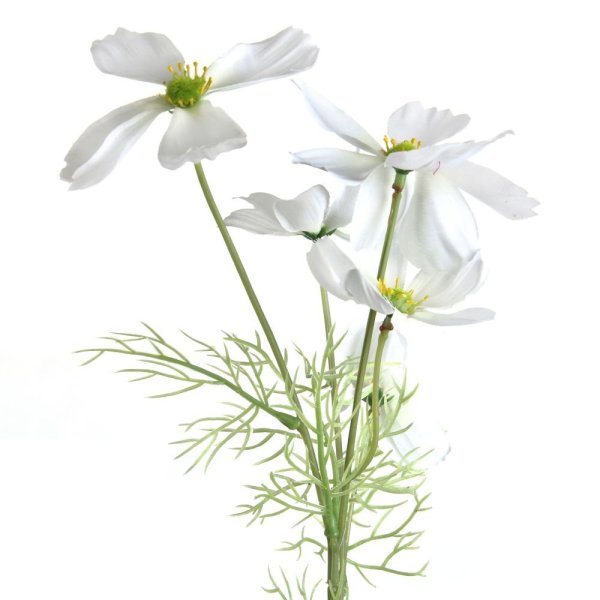 Космея Treez collection