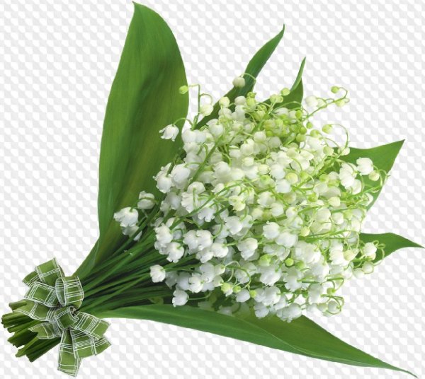 Букет ландышей без фона