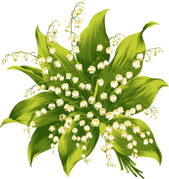 Цветы рисунок