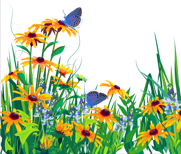 Летние травы для детей