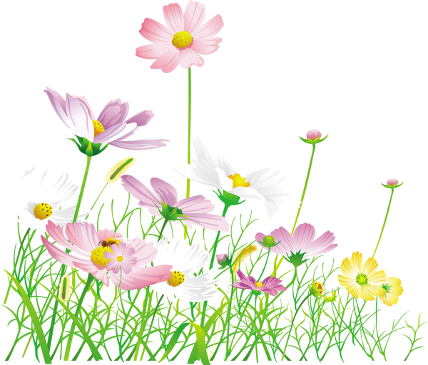 Цветочная Поляна на белом фоне