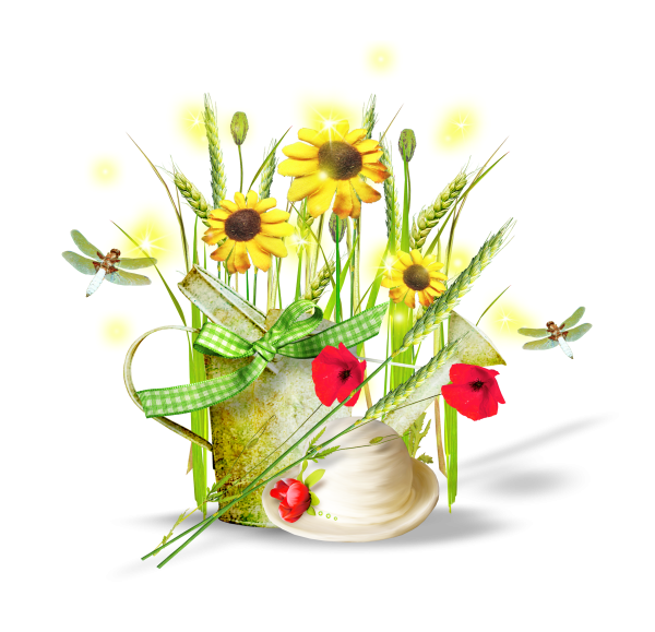 Клипарт летние цветы на прозрачном фоне