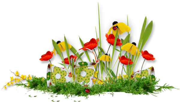 Летний клипарт на прозрачном фоне