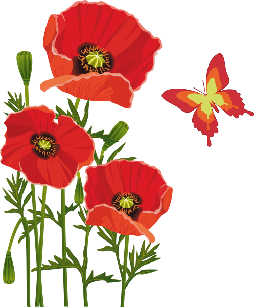 Маки без фона