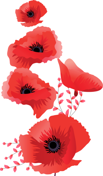 Мак на прозрачном фоне