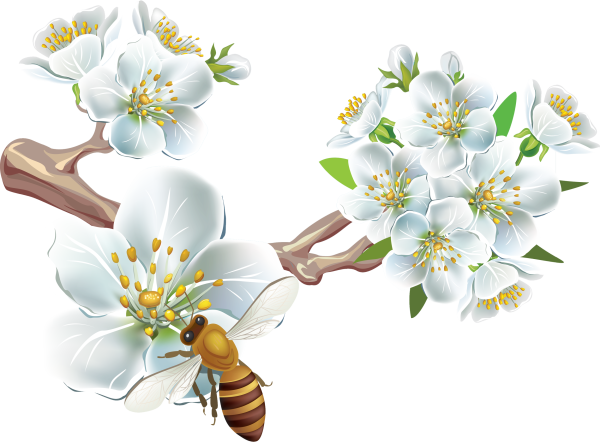 Векна на прозначном фоне