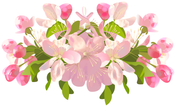 Ветка яблони в цвету вектор