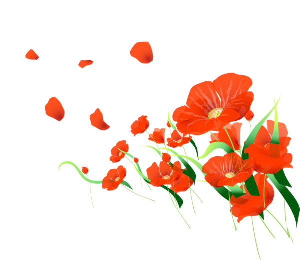 Майские цветы на прозрачном фоне