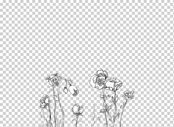 Цветы чб без фона