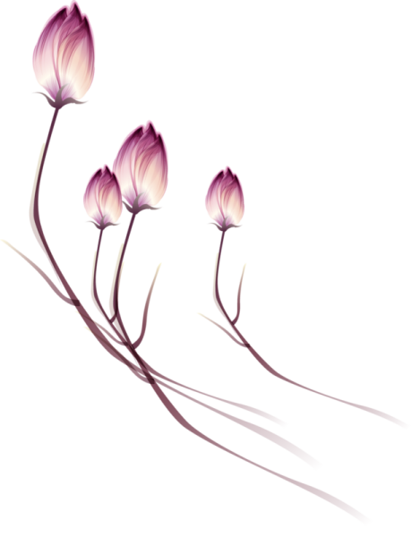 Тонкие цветы