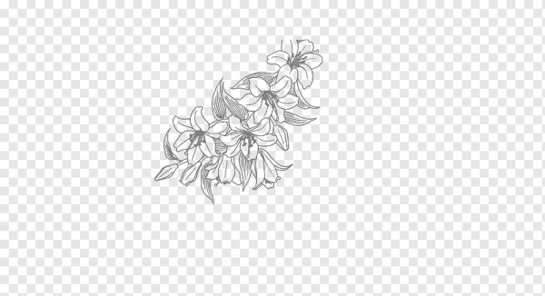 Цветы эскиз без фона