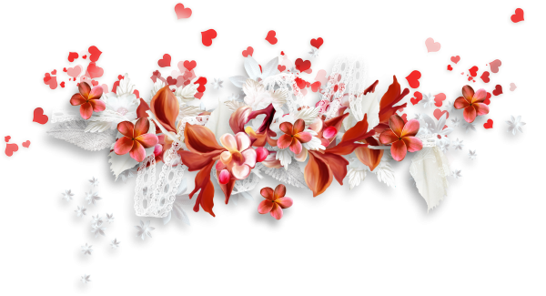 Цветы без фона