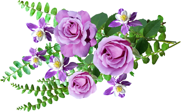 Цветы на прозрачном фоне