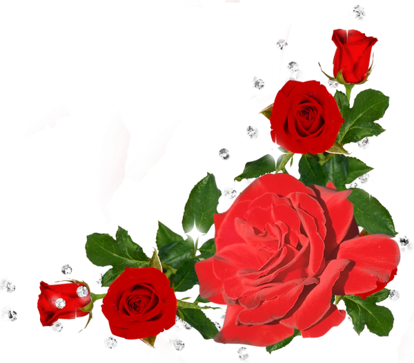 Цветы для вставки