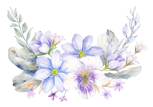 Прозрачные цветы акварелью