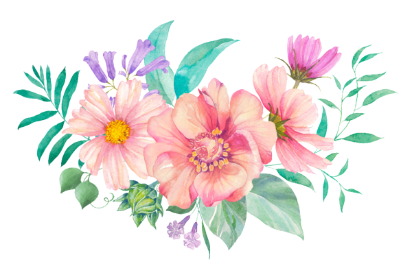 Цветы акварель без фона