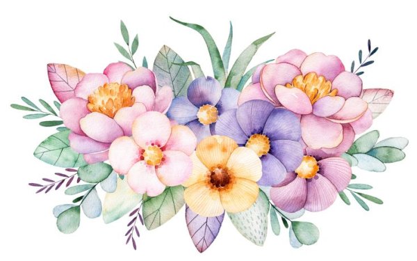 Цветы иллюстрация