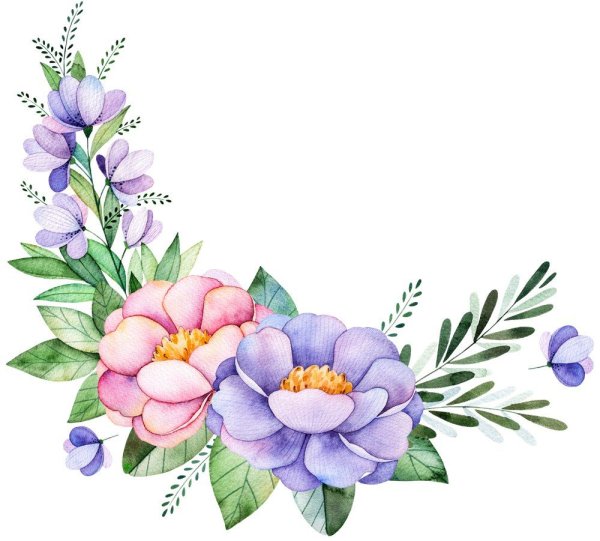 Акварельные цветы уголок