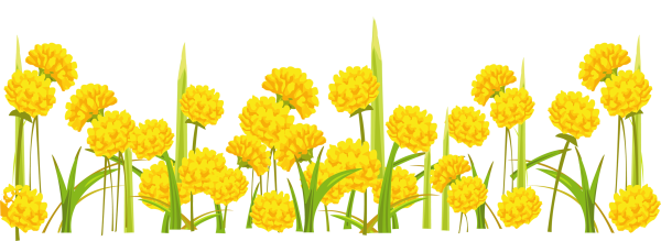 Весенние цветы на прозрачном фоне