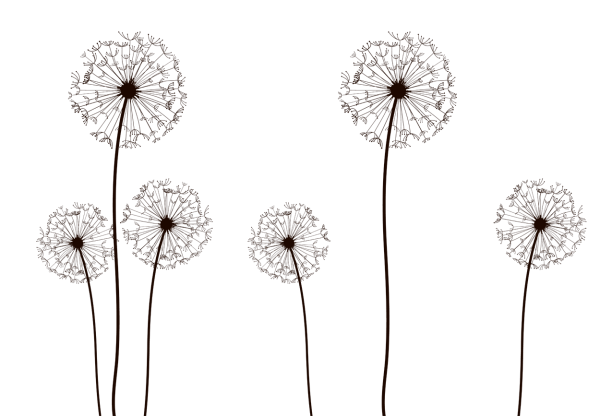 Одуванчик вектор