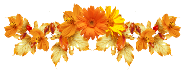 Осенние цветы уголок