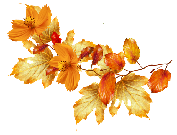 Осенняя веточка