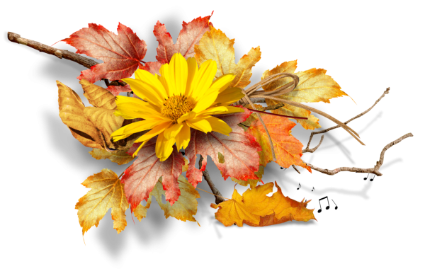 Осенний букет