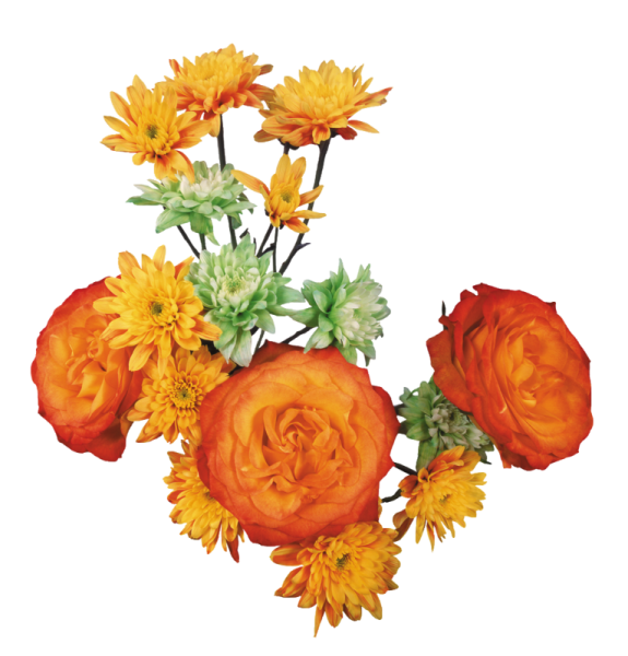 Букет осенних цветов на прозрачном фоне