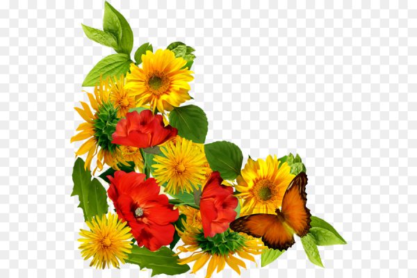 Яркие угловые цветы