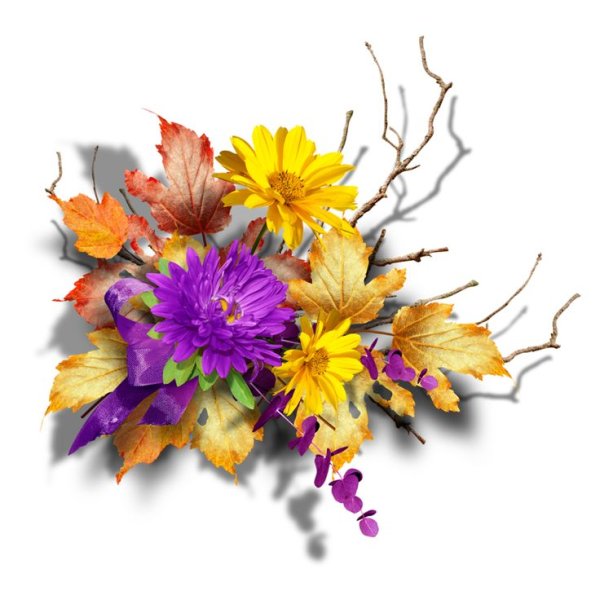 Осенние цветы