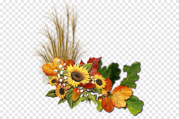 Осенние цветы