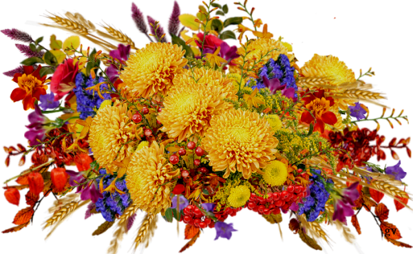 Осенний букет клипарт