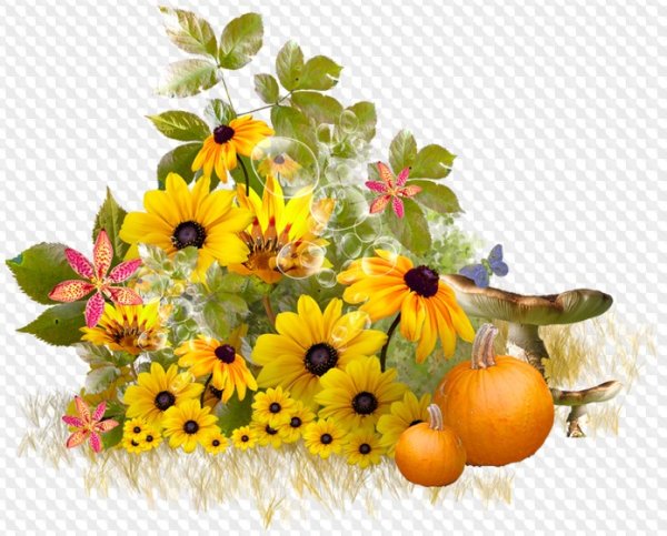 Осенний натюрморт на белом фоне