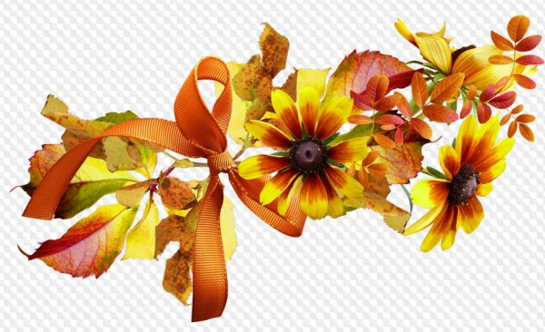 Осенние цветы на прозрачном фоне
