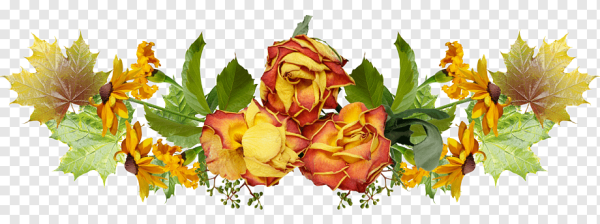 Букет из осенних листьев на прозрачном фоне