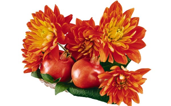 Букет осенних цветов на прозрачном фоне