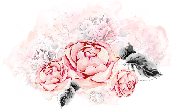 Пионы розы акварель