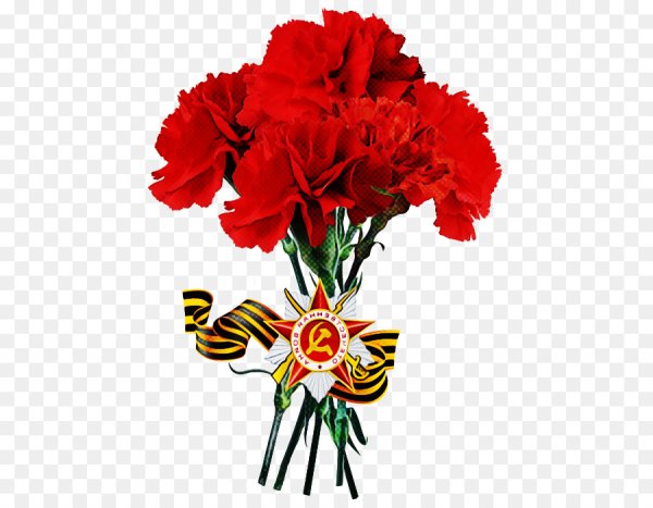 Гвоздики с георгиевской лентой