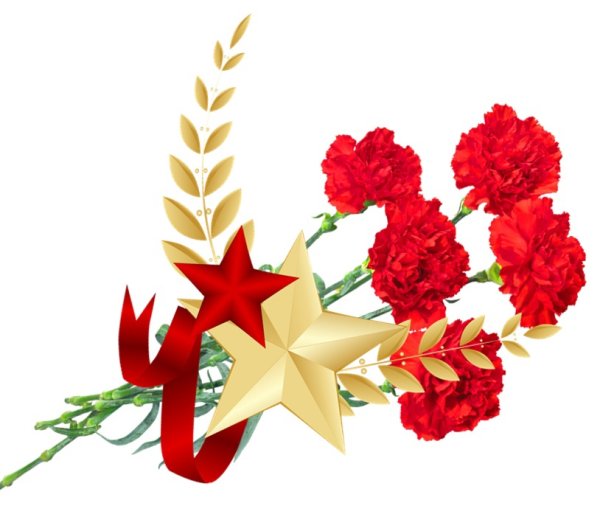 23 Февраля гвоздики