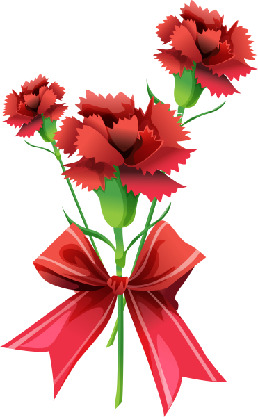 Гвоздики 9 мая