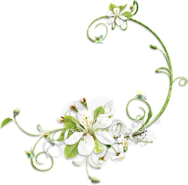 Кластеры для фотошопа на прозрачном фоне