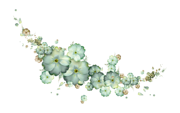 Россыпь цветов на прозрачном фоне