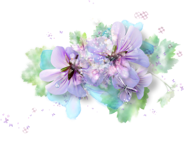 Нежные цветы на прозрачном фоне